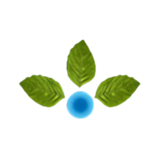 Anupam Rasayan India Ltd